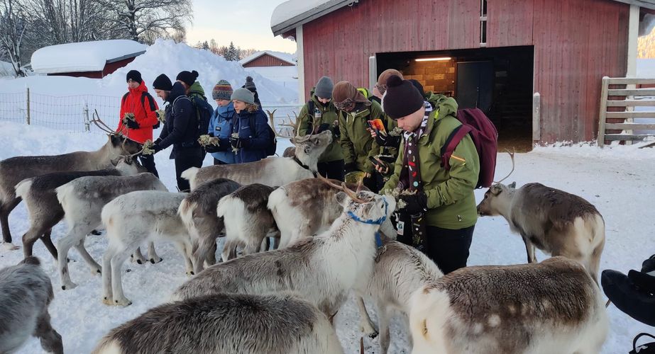 29 38 Lapland 21 29 38 Lapland 21